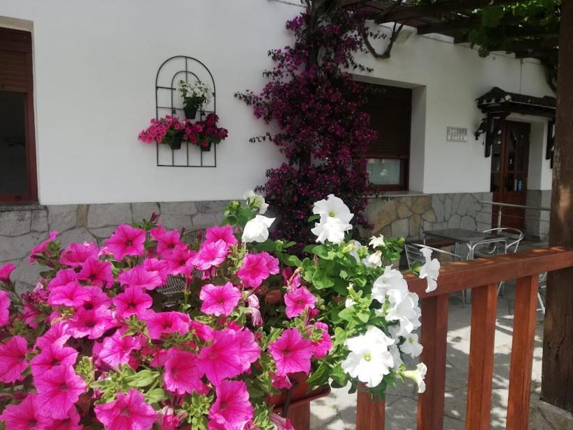 Atxispe Etxea Casa Rural Laukiz ภายนอก รูปภาพ